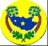 Brasão da cidade de Alto Santo - CE