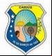 Brasão da cidade de Carius - CE