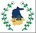 Brasão da cidade de Itapipoca - CE