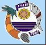 Brasão da cidade de Itarema - CE