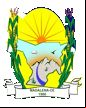 Brasão da cidade de Madalena - CE