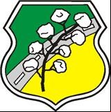 Brasão da cidade de Nova Russas - CE