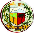 Brasão da cidade de Palmacia - CE