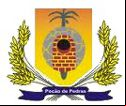 Brasão da cidade de Pocao De Pedras - MA