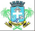 Cidade de BOCAIUVA - MG 