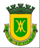 Brasão da cidade de Borda Da Mata - MG