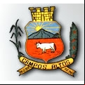 Cidade de CAMPOS ALTOS - MG 