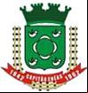 Brasão da cidade de Capitao Eneas - MG