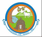 Brasão da cidade de Jenipapo De Minas - MG