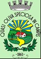Cidade de OLIVEIRA - MG 