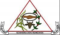 Cidade de SENHORA DOS REMEDIOS - MG 