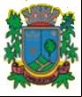 Brasão da cidade de Umburatiba - MG
