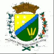 Brasão da cidade de Rio Negro - MS
