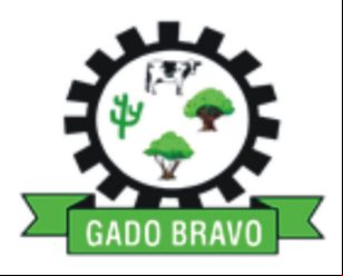Cidade de GADO BRAVO - PB 