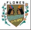 Cidade de FLORES - PE 