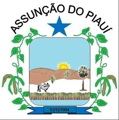 Cidade de ASSUNCAO DO PIAUI - PI 