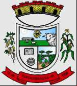 Brasão da cidade de Flor Da Serra Do Sul - PR