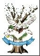 Cidade de SERINGUEIRAS - RO 