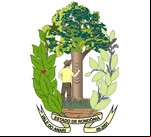 Cidade de VALE DO ANARI - RO 