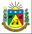 Cidade de SENADOR SALGADO FILHO - RS 