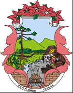 Cidade de VILA FLORES - RS 