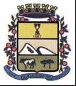 Brasão da cidade de Sao Joaquim - SC